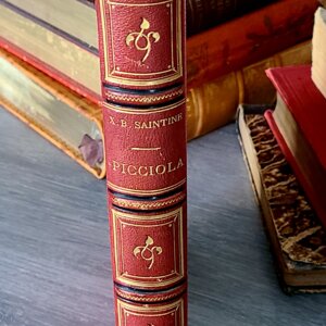 Picciola - Xavier Boniface Saintine