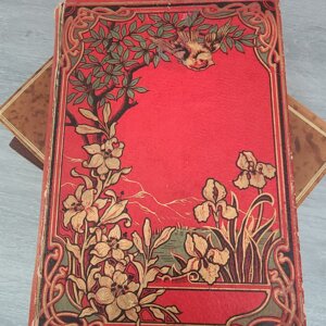 La perfidie chinoise - Bizeul